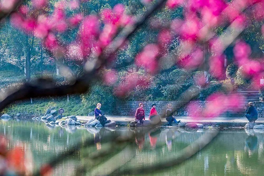 救援花栗鼠
