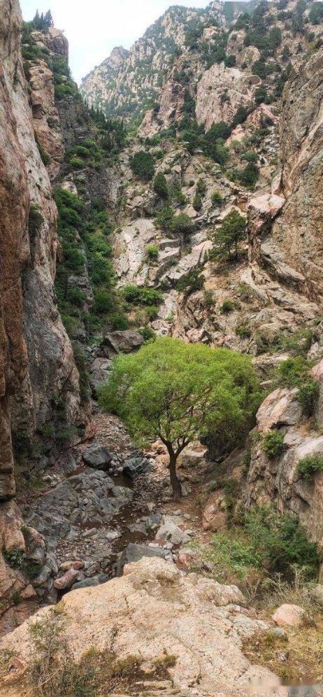 美智库建议关岛配备全方位、无死角导弹防御能力
