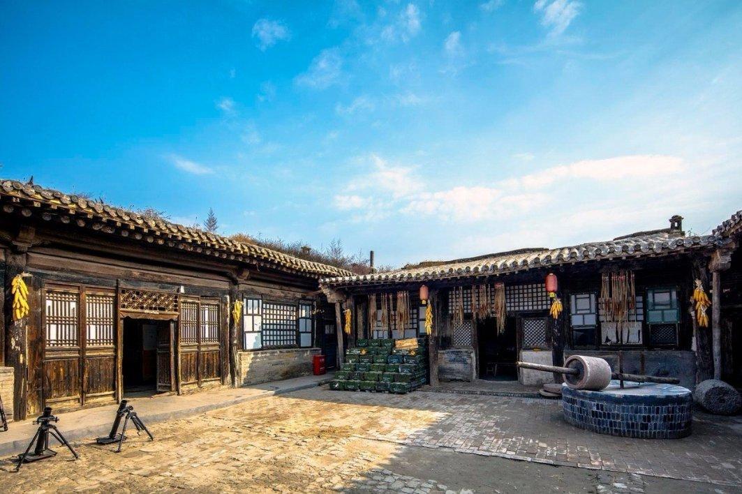 【甘快看】新春走基层 兰州新区30万枝郁金香浪漫上线